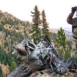 Optics Setup For Western Big Game Hunting Lead