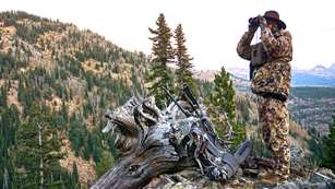 Optics Setup For Western Big Game Hunting Lead