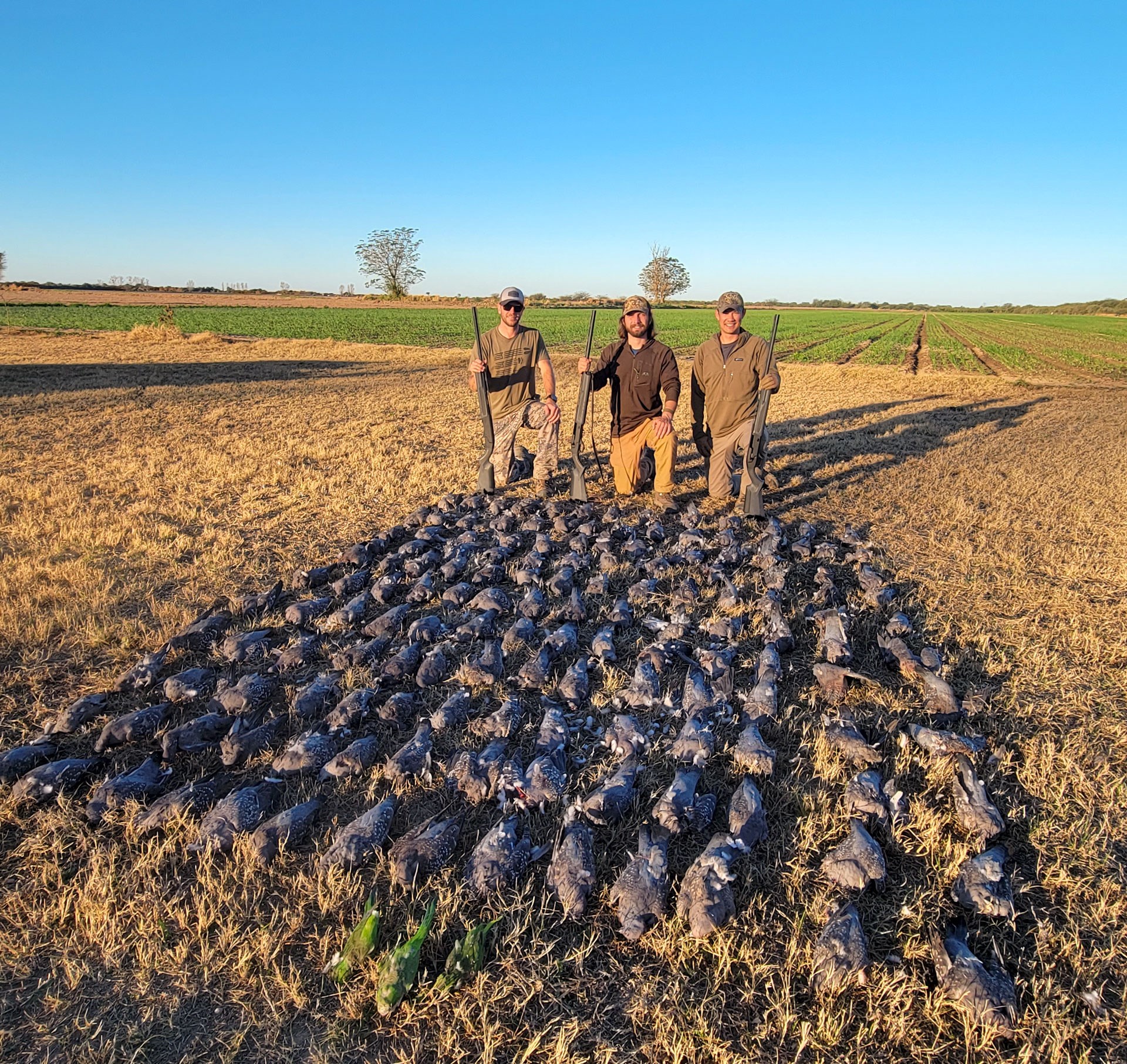 Hunters with pigeons