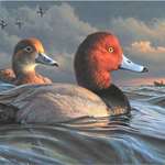 2022 Federal Duck Stamp