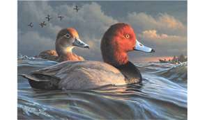 2022 Federal Duck Stamp