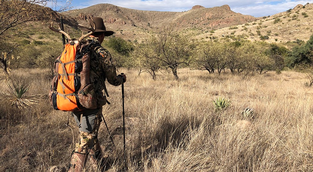 Male hunter hiking mountains with mule deer antlers strapped to backpack.