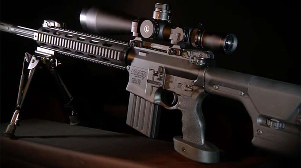artv_dpms_f.jpg