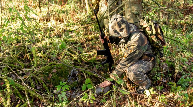 Understanding the Predator-Prey Dynamic and Its Influence on Hunting Strategies | An Official Journal Of The NRA