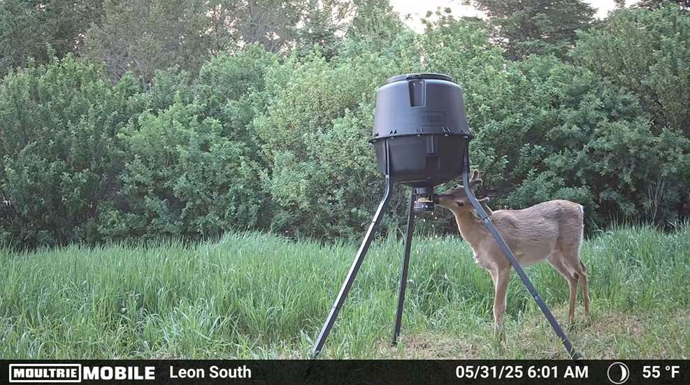 LEDE Moultrie Plastic Feeder