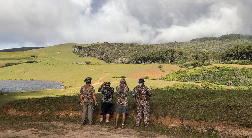 Hunters using binoculars to find axis deer in open Molokai rolling hills.