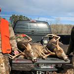 MH A Tale Of Two Trophies Lead