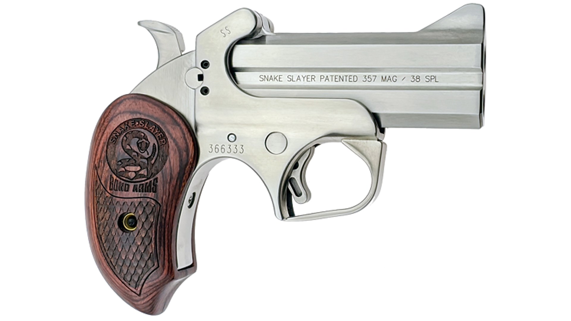 Bond Arms Snake Slayer