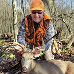 MH 60Th Anniversary Buck Lead
