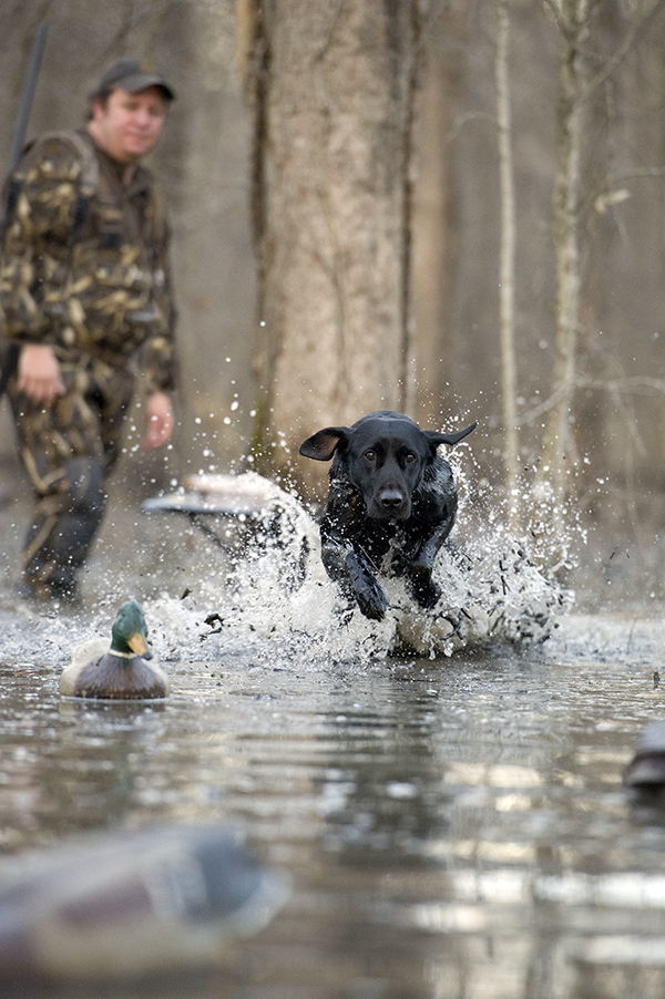 Bounding Lab