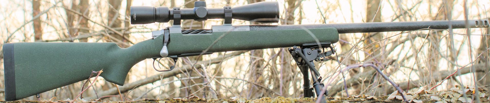 Sporter rifle on log