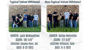 LEDE Pope & Young Whitetail Shot