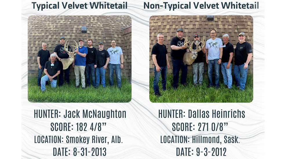 LEDE Pope & Young Whitetail Shot