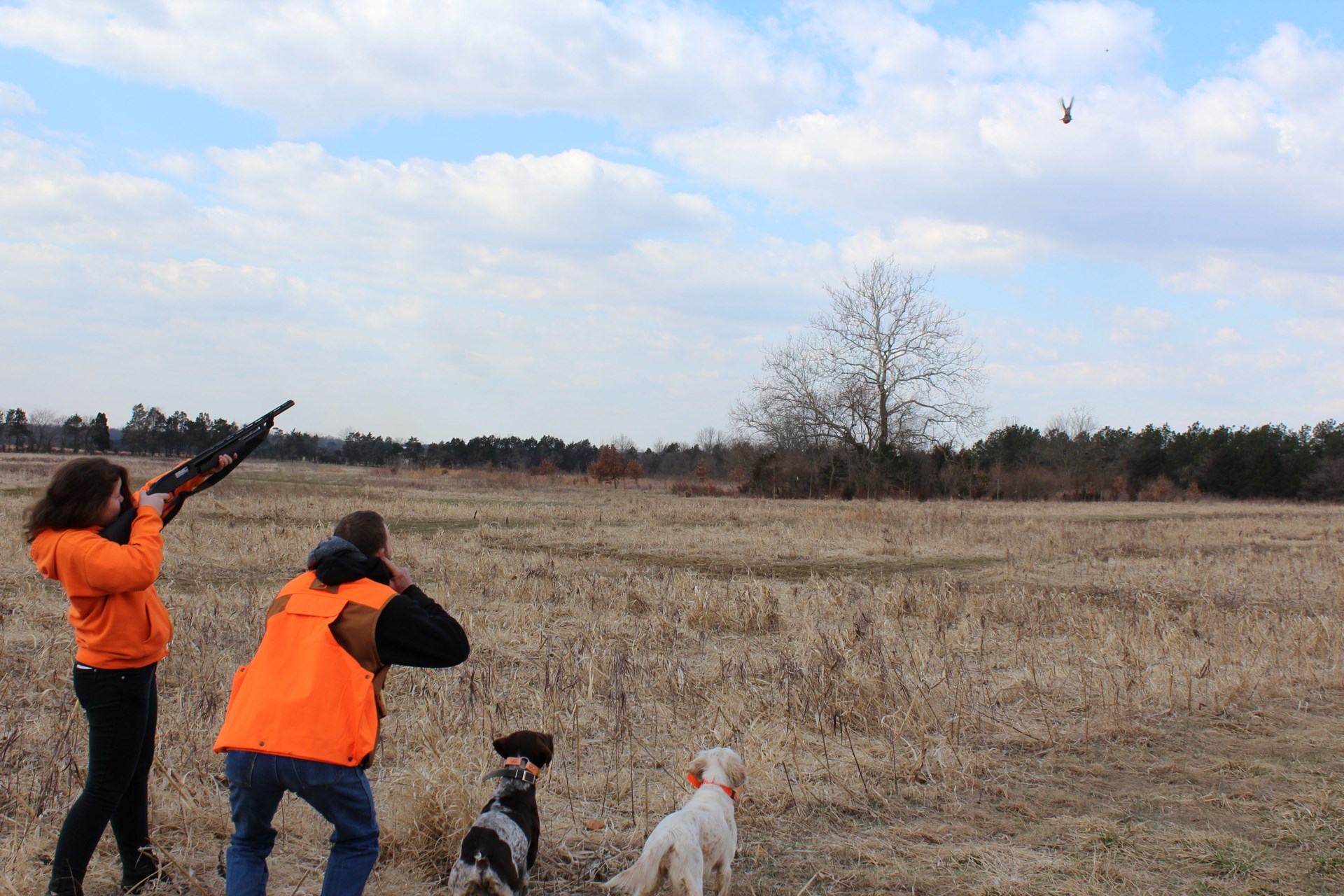 Shooting a high bird