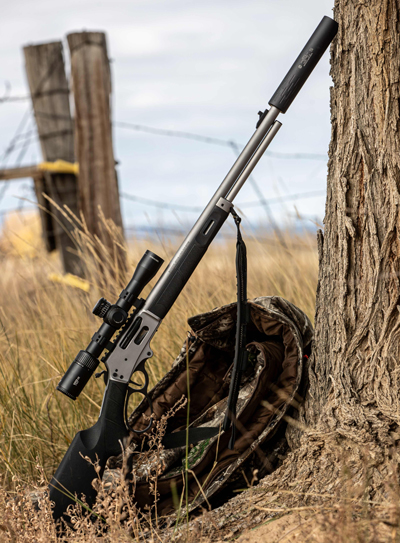 S&W By Fence