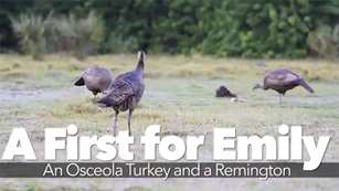 turkey_remington_f.jpg