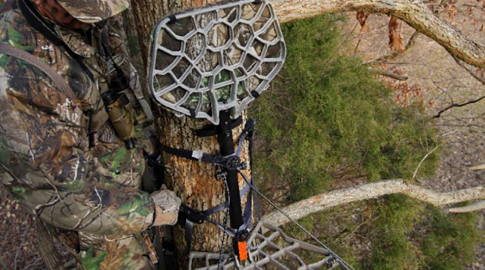 howtohangtreetsand_lead.jpg