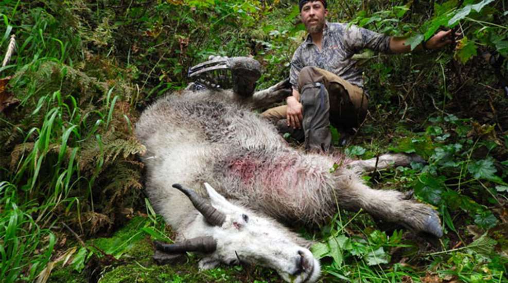 mainkaleb-baird-world-record-mountain-goat.jpg