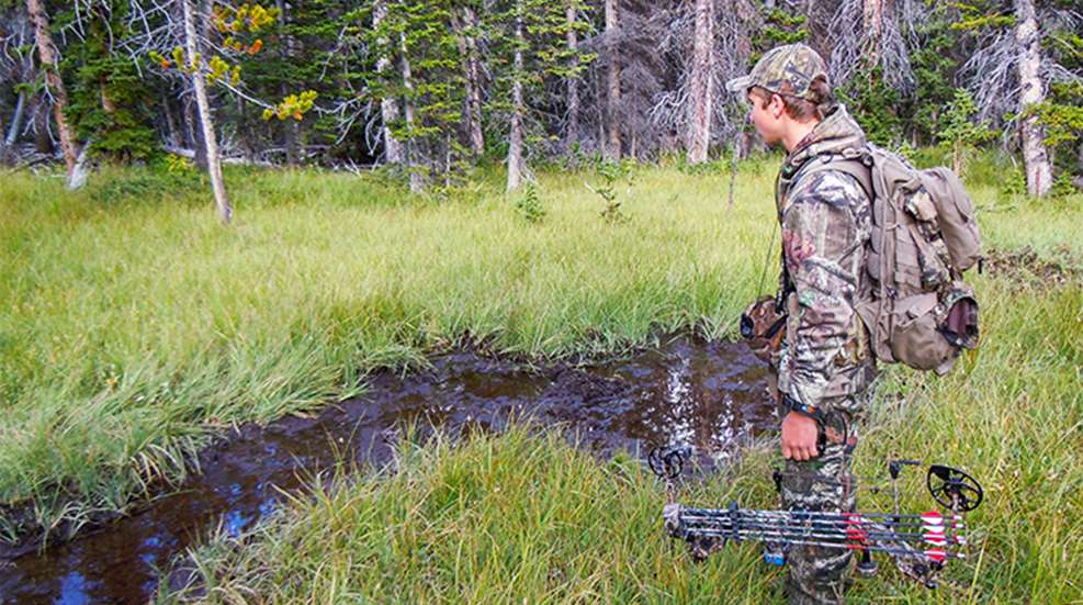week-by-week-september-elk_lead.jpg