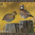 Art Fueling Conservation In Arkansaslede
