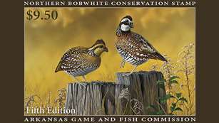 Art Fueling Conservation In Arkansaslede