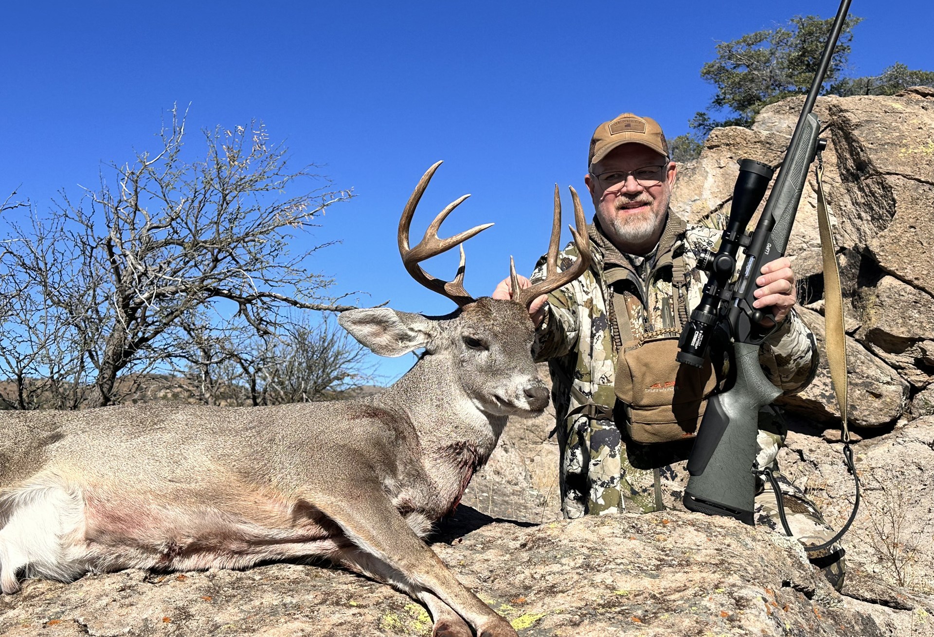 Coues Deer