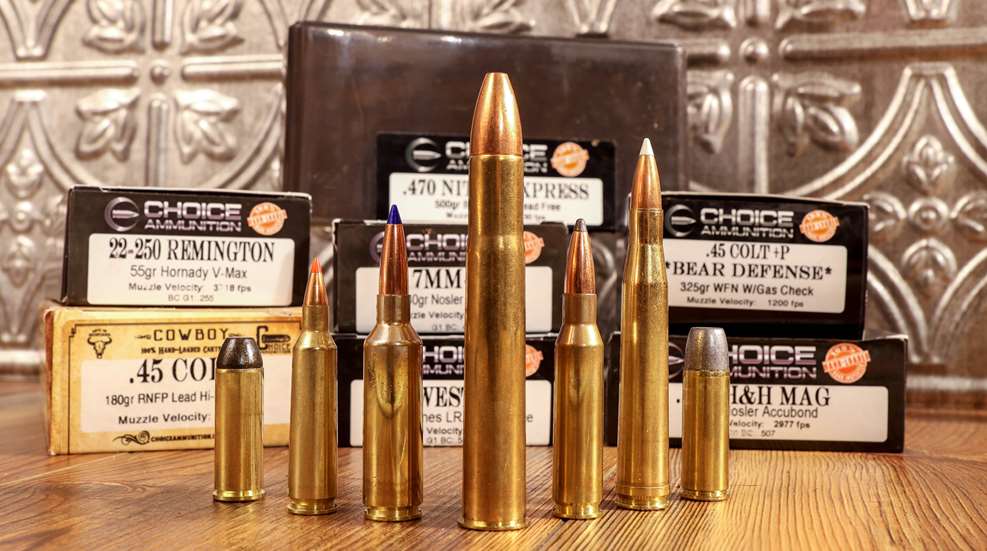 Lead Photo Choice Ammo