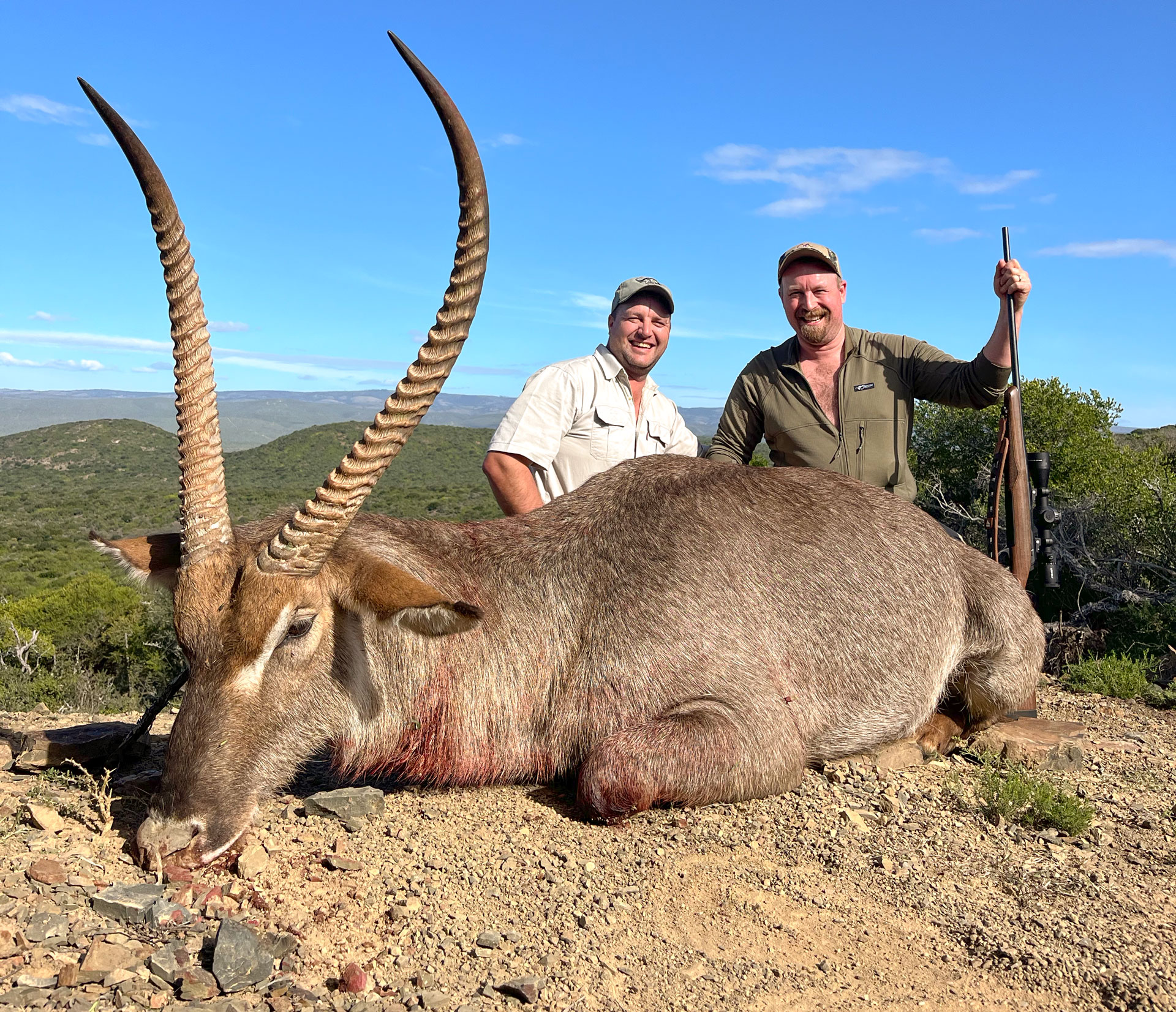 Weighing about 600 pounds and sporting 32 inches of horn on either side, the author’s waterbuck is a true trophy.