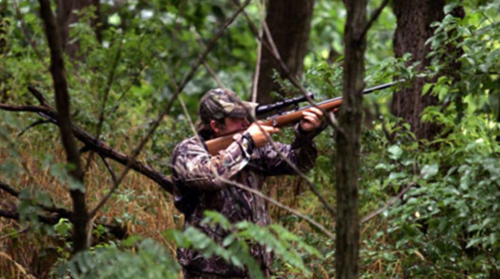 20111025132845-earlysquirrel_f.jpg