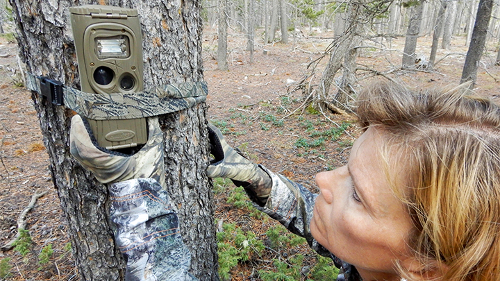 Female Hunter Setting Up Trail Camera