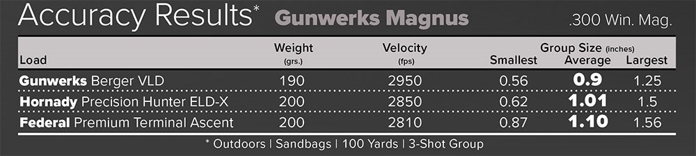 Gunwerks Magnus Rifle System accuracy results chart using Gunwerks, Hornady and Federal Premium ammunition.