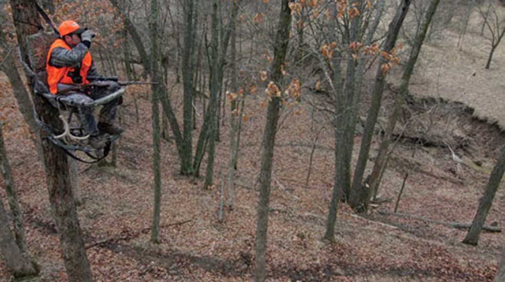 201011917751-whitetail_stand_f.jpg