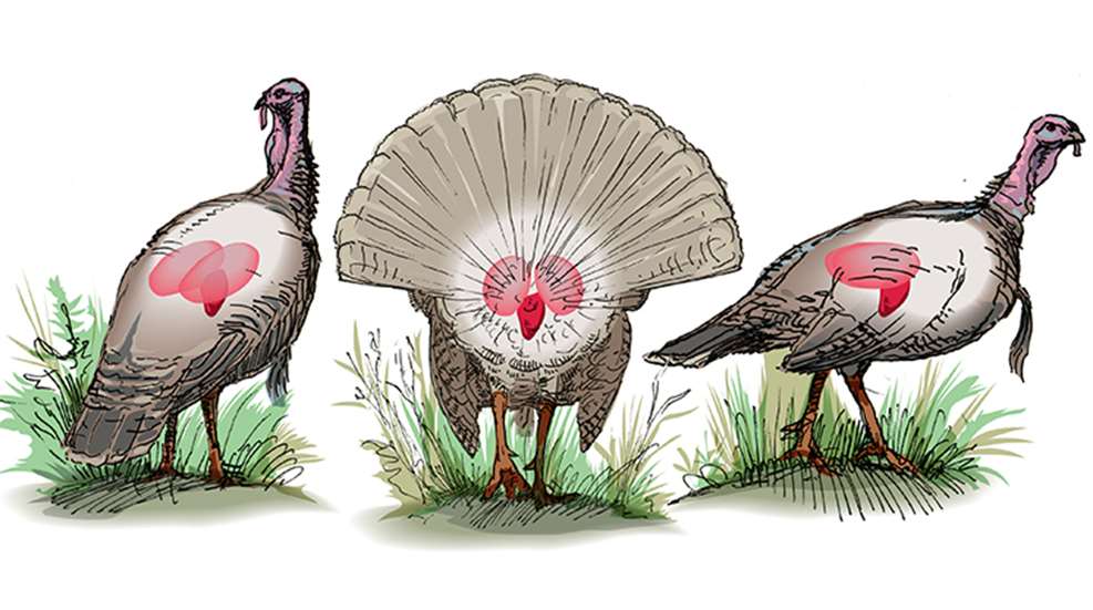 bow_shot_turkey_f.jpg