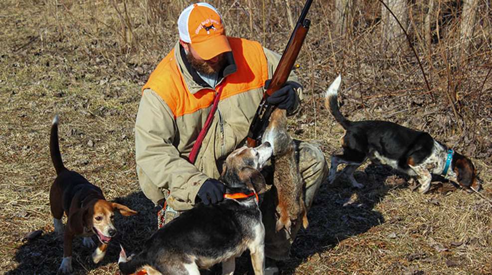 beagling_lead.jpg
