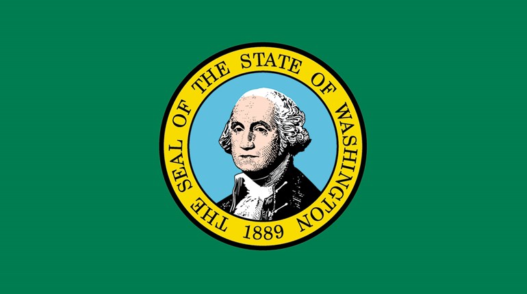 Washington State Flag Lead
