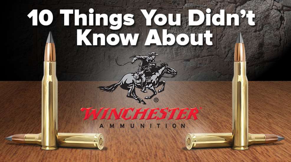 10_things_winammo.jpg