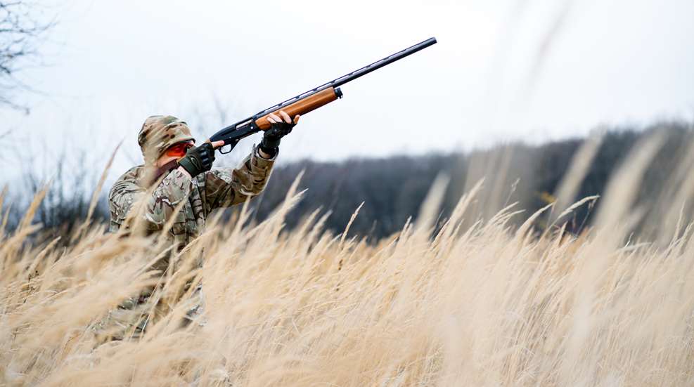 LEDE Hunter