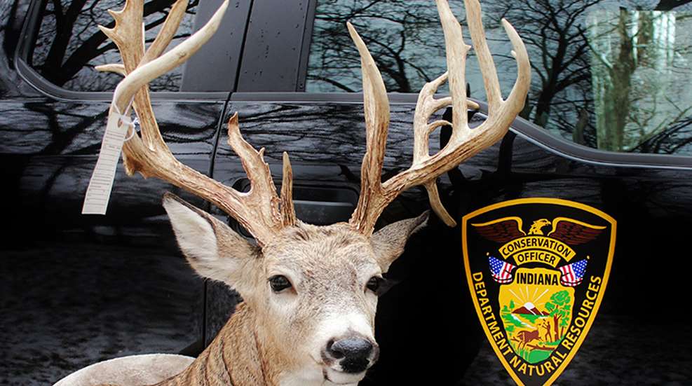 indiana-freezes20-pointbuck_lead.jpg