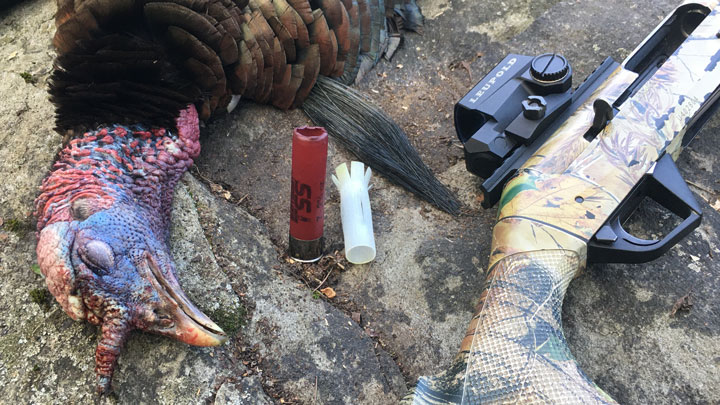 Turkey head with shotshell