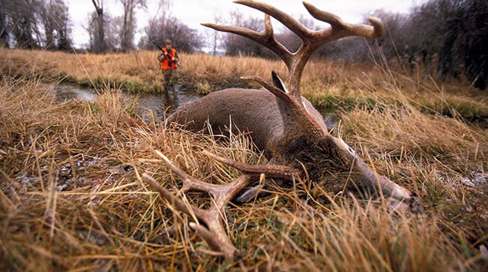 hunters_for_the_hungry_f.jpg