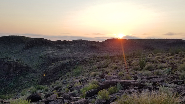 Texas desert at sunset