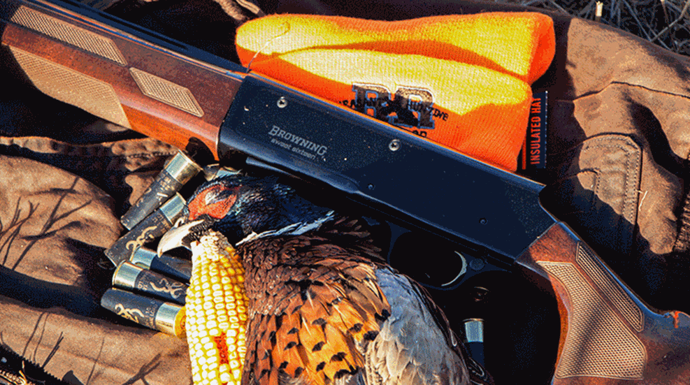 ggsdpheasant_lead.gif