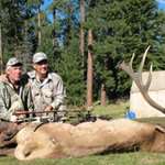 201046133213-az-whopper-bull_m.jpg