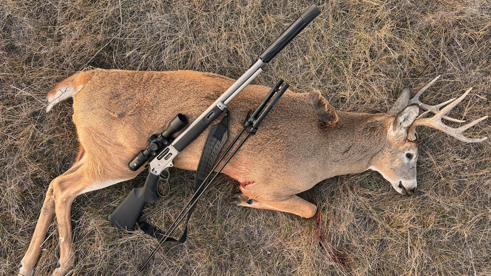 Deer Don't Like it