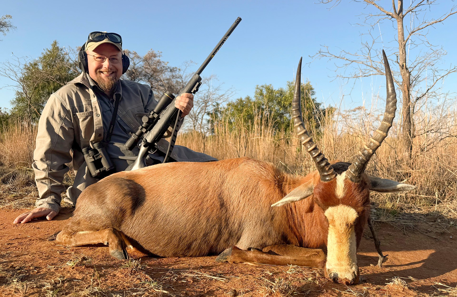 Blesbok
