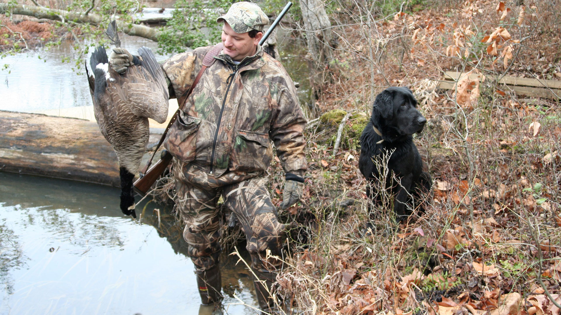 Even Geese Can Be Taken On Small Sloughs Where They Might Loaf During The Day