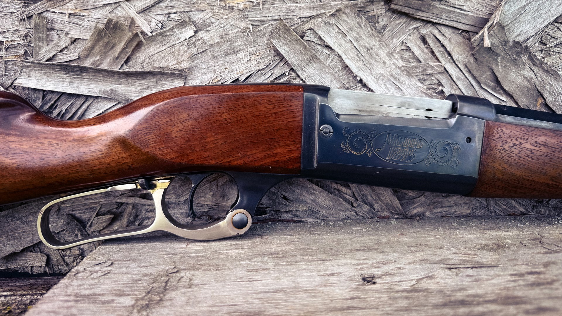 Savage Model 1895