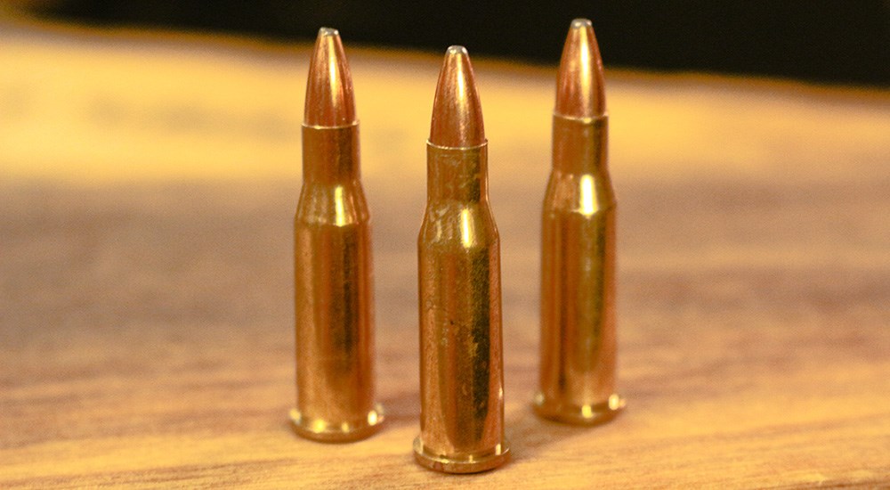 Three .218 Bee ammunition cartridges lined up on wooden table.