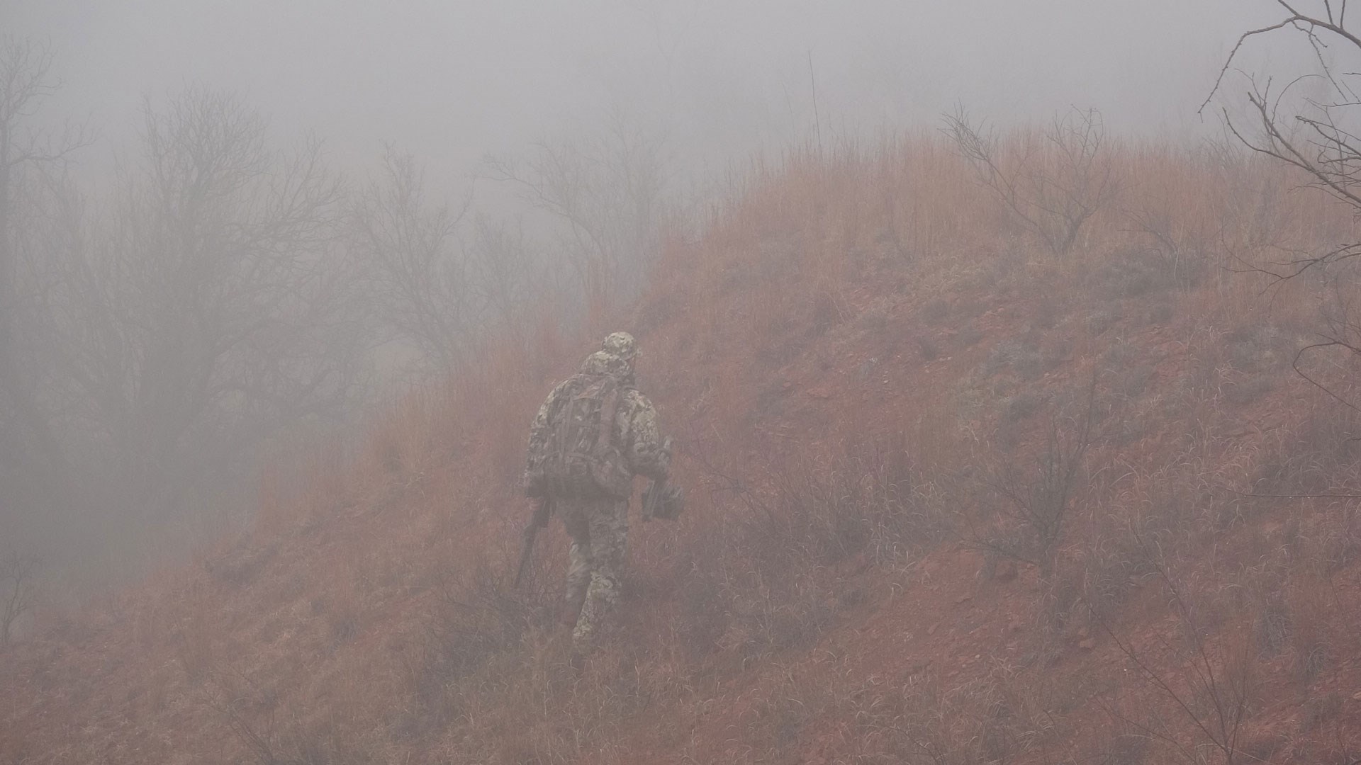 Author walks away from camera into the mist