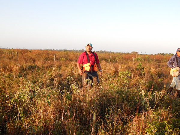 Whistling Like a Bobwhite